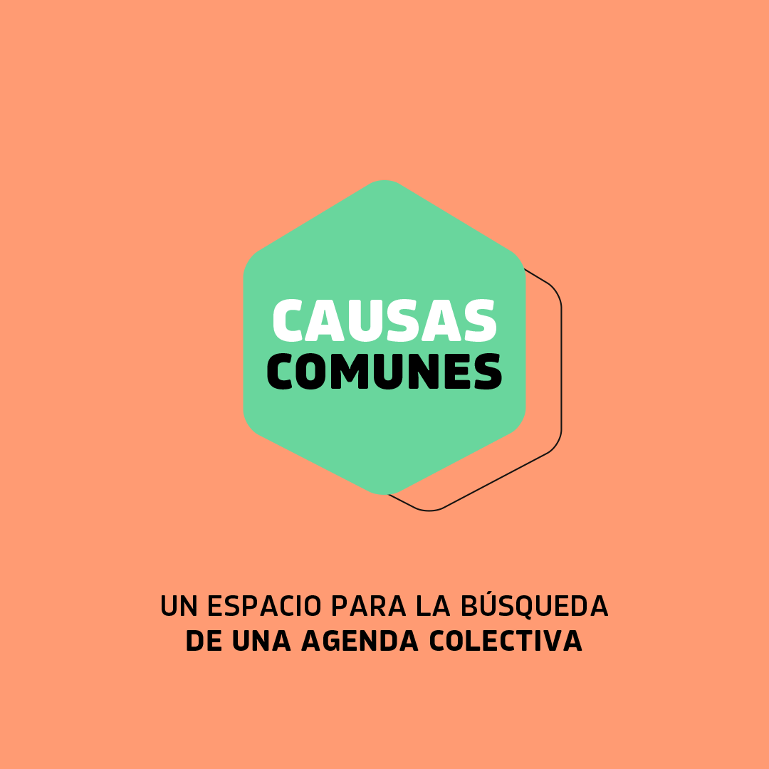 Imagen del recurso Causas Comunes