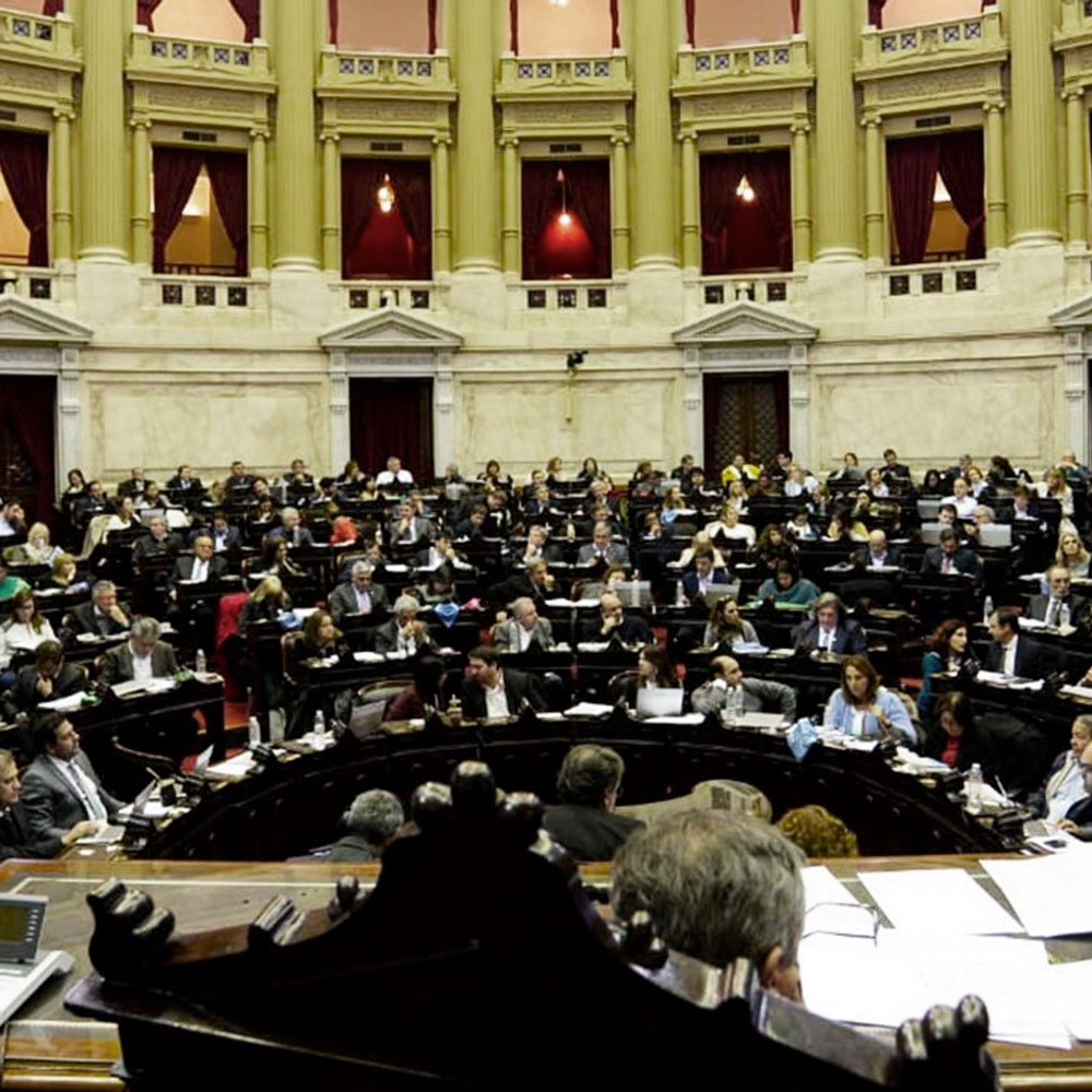Imagen del recurso Gatopardismo